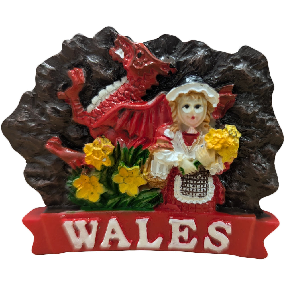 St Davids Coal Wales Resin Magnet (RSN9)