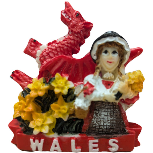 St Davids Day Wales Resin Magnet (RSN12)