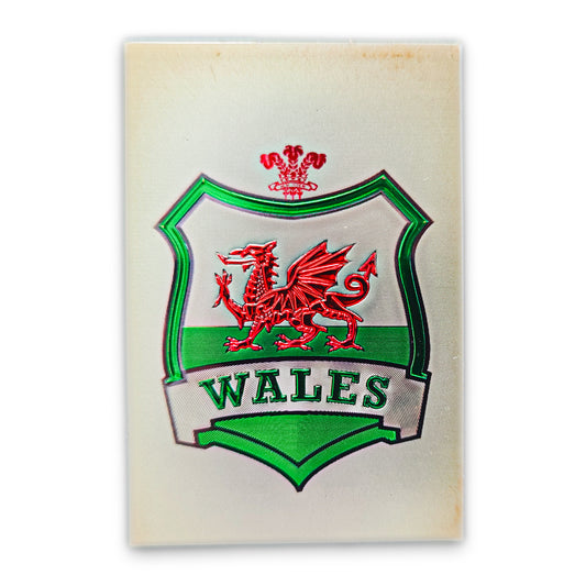 Wales Shield Magnet (MGF011)