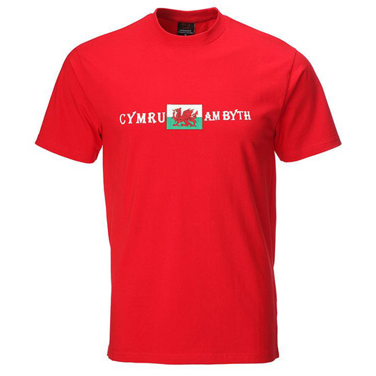 Cymru Am Byth Flag T-Shirt