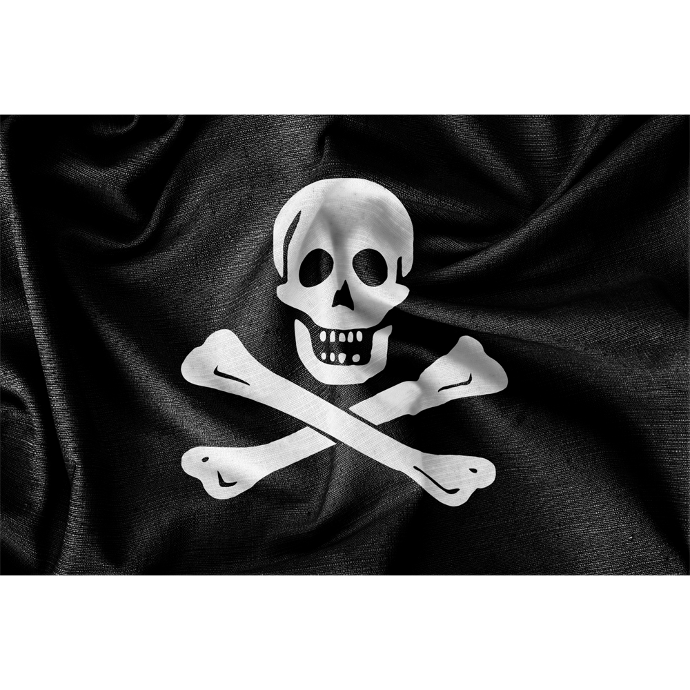 Jolly Roger Pirate 5x3 Flag