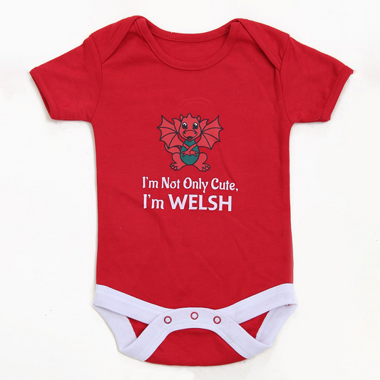 Babies Cute & Welsh Nappy T