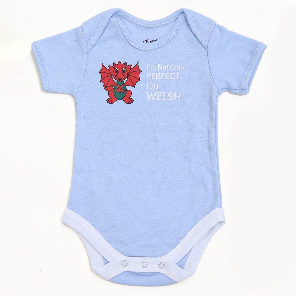 Babies Perfect & Welsh Nappy T