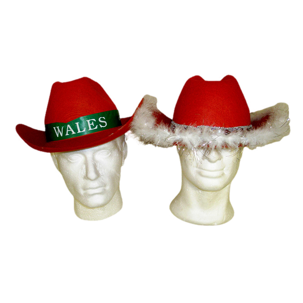 Welsh Cowboy Hat