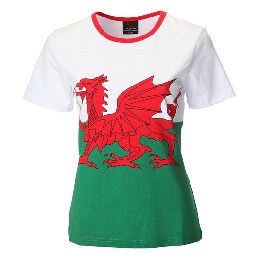 Ladies Welsh Flag Skinni T-Shirt